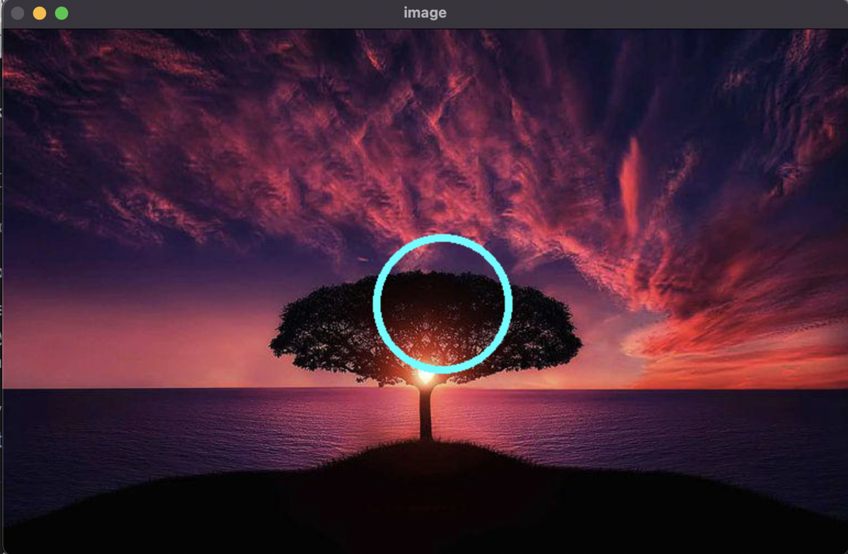 use opencv library to draw a circle - circle